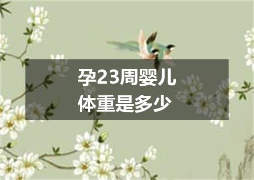 孕23周婴儿体重是多少