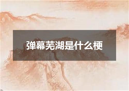 弹幕芜湖是什么梗