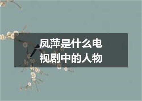 凤萍是什么电视剧中的人物