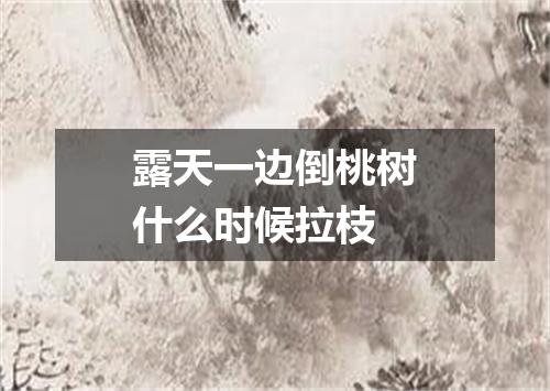 露天一边倒桃树什么时候拉枝