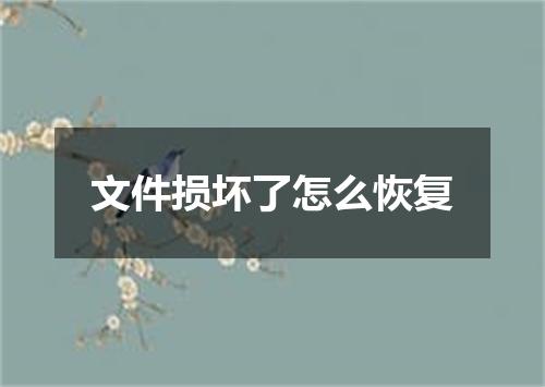 文件损坏了怎么恢复