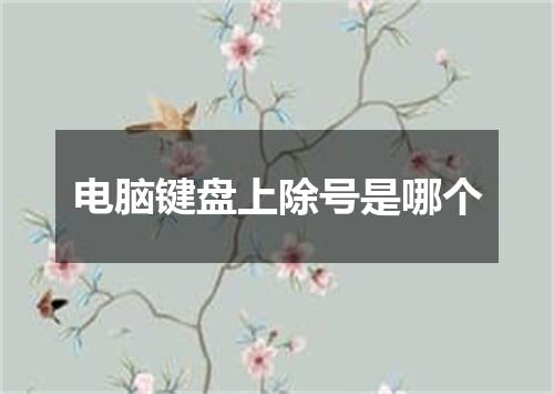 电脑键盘上除号是哪个