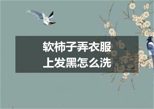 软柿子弄衣服上发黑怎么洗