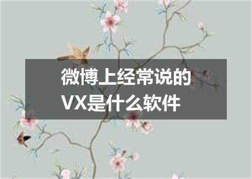 微博上经常说的VX是什么软件
