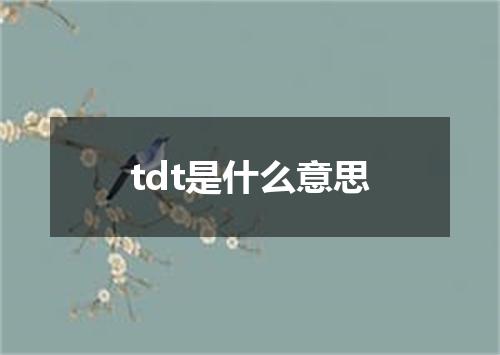 tdt是什么意思