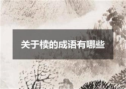 关于椟的成语有哪些