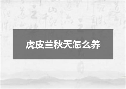 虎皮兰秋天怎么养