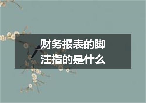 财务报表的脚注指的是什么