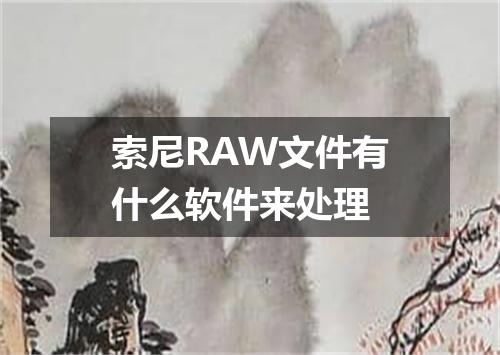 索尼RAW文件有什么软件来处理