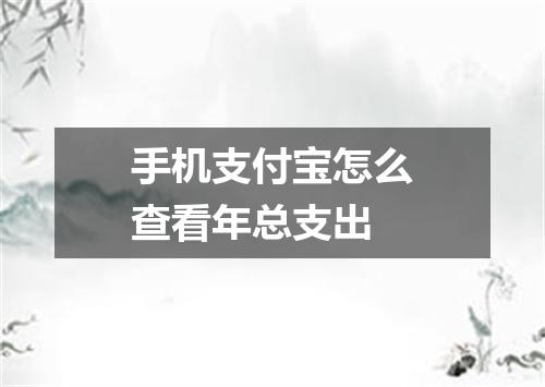 手机支付宝怎么查看年总支出