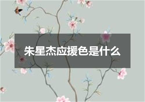 朱星杰应援色是什么