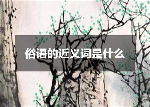 俗语的近义词是什么