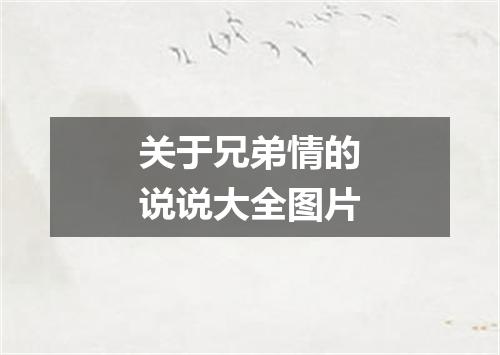 关于兄弟情的说说大全图片