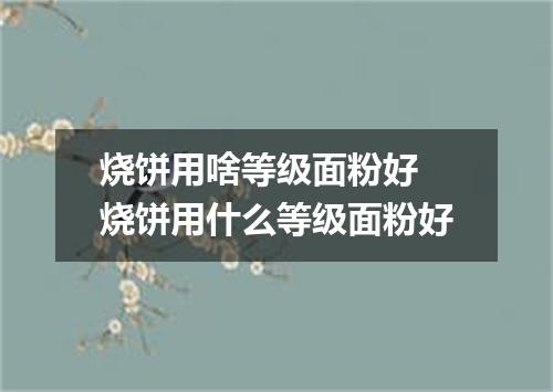 烧饼用啥等级面粉好 烧饼用什么等级面粉好