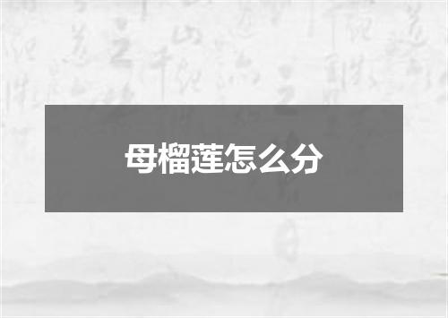 母榴莲怎么分