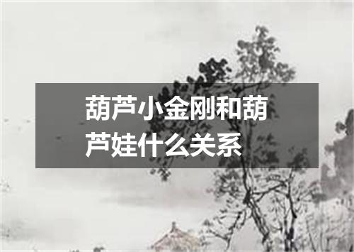 葫芦小金刚和葫芦娃什么关系