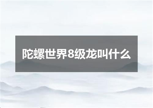 陀螺世界8级龙叫什么