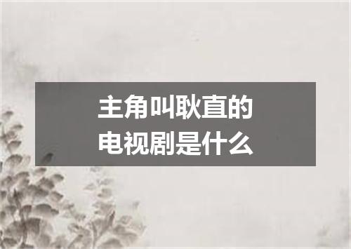主角叫耿直的电视剧是什么