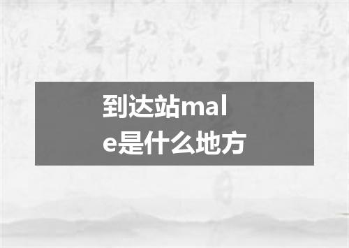 到达站male是什么地方