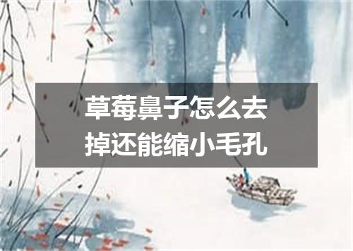 草莓鼻子怎么去掉还能缩小毛孔