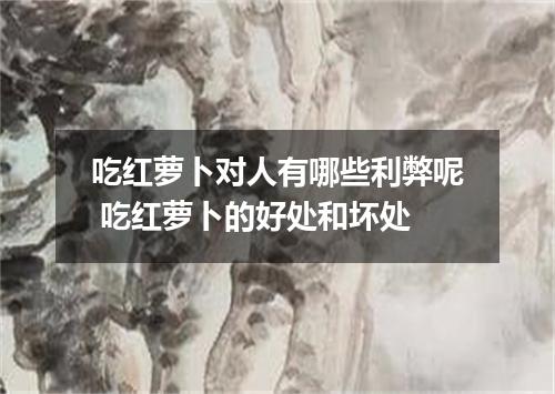 吃红萝卜对人有哪些利弊呢 吃红萝卜的好处和坏处