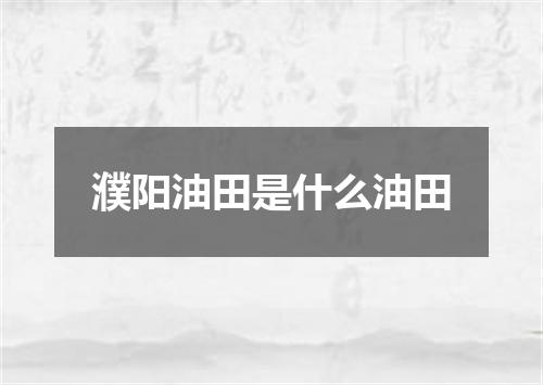 濮阳油田是什么油田