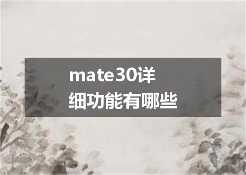 mate30详细功能有哪些