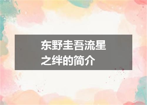 东野圭吾流星之绊的简介