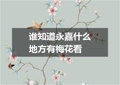 谁知道永嘉什么地方有梅花看