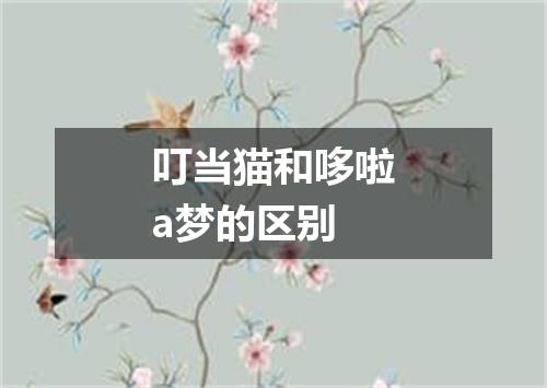叮当猫和哆啦a梦的区别