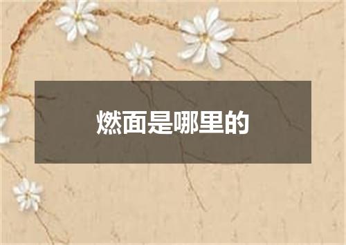 燃面是哪里的
