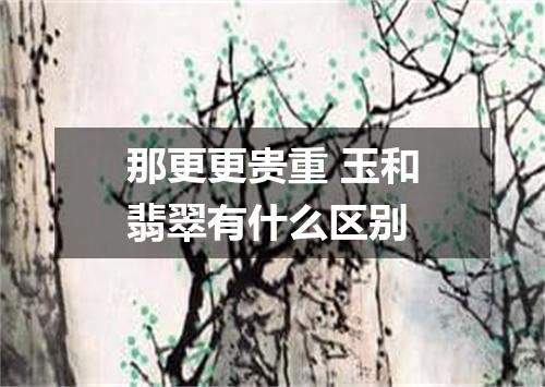 那更更贵重 玉和翡翠有什么区别