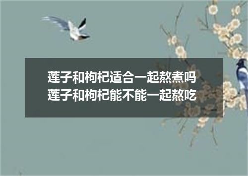 莲子和枸杞适合一起熬煮吗 莲子和枸杞能不能一起熬吃