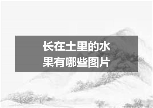 长在土里的水果有哪些图片