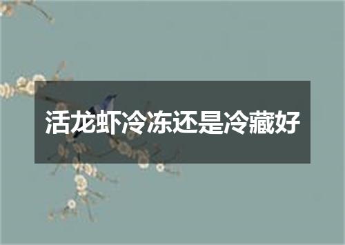 活龙虾冷冻还是冷藏好