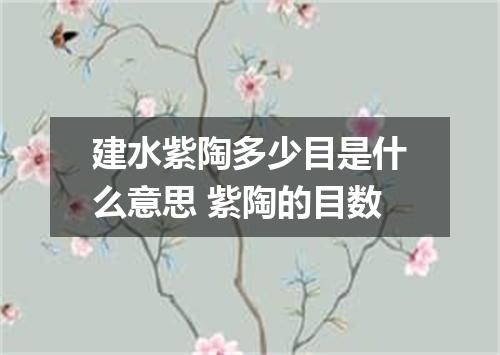 建水紫陶多少目是什么意思 紫陶的目数