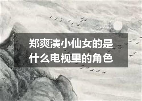 郑爽演小仙女的是什么电视里的角色