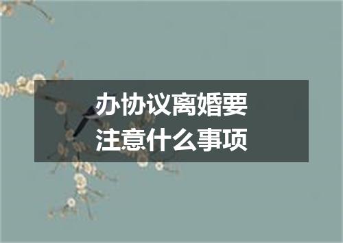 办协议离婚要注意什么事项