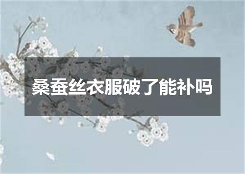 桑蚕丝衣服破了能补吗