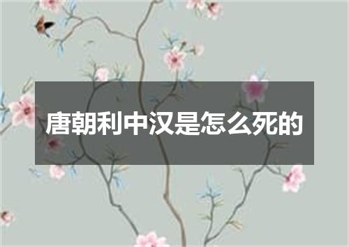 唐朝利中汉是怎么死的