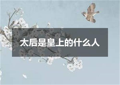 太后是皇上的什么人