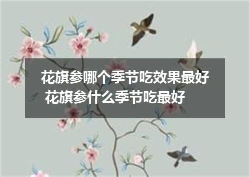 花旗参哪个季节吃效果最好 花旗参什么季节吃最好