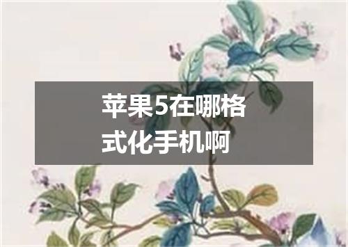 苹果5在哪格式化手机啊