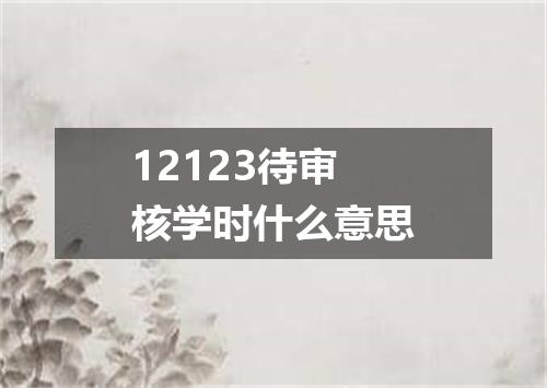 12123待审核学时什么意思
