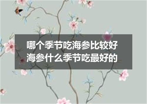 哪个季节吃海参比较好 海参什么季节吃最好的