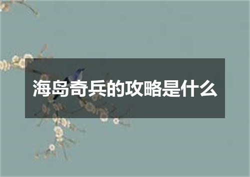 海岛奇兵的攻略是什么