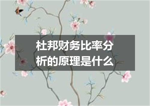 杜邦财务比率分析的原理是什么