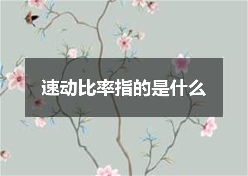 速动比率指的是什么