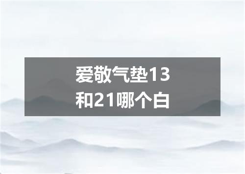 爱敬气垫13和21哪个白