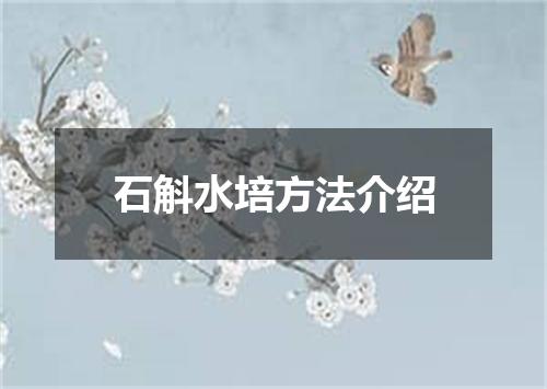 石斛水培方法介绍